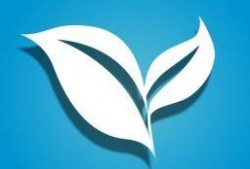 树叶最新爆料视频下载,幕后真相大起底