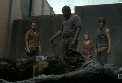 行尸走肉第4季在线观看,生死边缘的绝望求生之旅