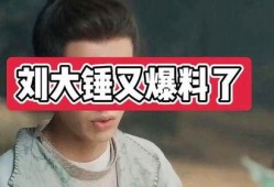 刘大锤爆料了哪些网红视频,网红视频背后的惊人爆料